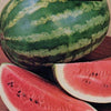 100 CRIMSON SWEET WATERMELON Citrullus lanatus Fruit Melon Seeds