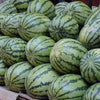 100 CRIMSON SWEET WATERMELON Citrullus lanatus Fruit Melon Seeds