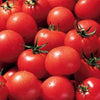 300 SMALL Red CHERRY TOMATO Lycopersicon Lycopersicum Fruit Vegetable Seeds