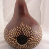 20 BIRDHOUSE GOURD (Hard Shelled Gourd / Calabash) Lagenaria Siceraria Vine Seeds