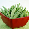 50 ROMA Italian GREEN BEAN Phaseolus Vulgaris Vegetable Seeds