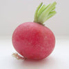 2000 CRIMSON GIANT RADISH Raphanus Sativus Vegetable Seeds