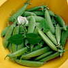 50 Super SUGAR SNAP PEA Pisum Sativum Macrocarpon Vegetable Seeds