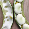 50 BABY LIMA BEAN Phaseolus Lunatus Vegetable Seeds