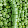 50 Super SUGAR SNAP PEA Pisum Sativum Macrocarpon Vegetable Seeds