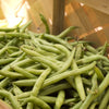 50 BURPEE STRINGLESS Green Pod BEAN French Phaseolus Vulgaris Vegetable Seeds