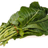 1000 PREMIER KALE Early Hanover Brassica Oleracea Greens Vegetable Seeds
