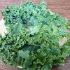 1000 HANOVER SALAD Spring KALE Smooth Siberian Brassica Napus Vegetable Seeds