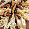50 Indian MINI MIX CORN Miniature 4" Ears Ornamental Zea Mays Vegetable Seeds