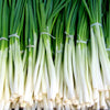 300 Evergreen NEBUKA BUNCHING ONION Japanese Allium Fistulosum Vegetable Seeds