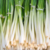 300 Evergreen NEBUKA BUNCHING ONION Japanese Allium Fistulosum Vegetable Seeds