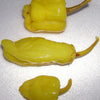 50 GREEK GOLDEN PEPPER Pepperoncini Gold Yellow Capsicum Annuum Vegetable Seeds
