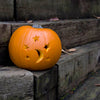 50 CONNECTICUT FIELD PUMPKIN BigTom Orange Yankee Cucurbita Pepo Vegetable Seeds