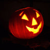 50 SPOOKIE PUMPKIN aka Deep Sugar Pie Pumpkin Cucurbita Pepo Vegetable Seeds