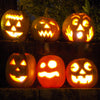 50 SPOOKIE PUMPKIN aka Deep Sugar Pie Pumpkin Cucurbita Pepo Vegetable Seeds