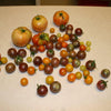 50 BLACK CHERRY TOMATO Black Skin Sweet Round Lycopersicon Fruit Vegetable Seeds