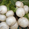 3000 SHOGOIN TURNIP White Japanese Brassica Rapa Root & Greens Vegetable Seeds