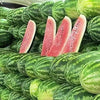 20 CAL SWEET Supreme WATERMELON Red Citrullus Lanatus 30 lb Melon Fruit Seeds