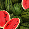 20 CAL SWEET Supreme WATERMELON Red Citrullus Lanatus 30 lb Melon Fruit Seeds