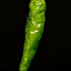 25 Organic KOREAN Dark GREEN PEPPER Lady Han Hot Chili Long Red Capsicum Annuum Seeds