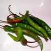 25 Organic KOREAN Dark GREEN PEPPER Lady Han Hot Chili Long Red Capsicum Annuum Seeds