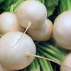 500 Hailstone WHITE GLOBE RADISH Raphanus Sativus Vegetable Seeds