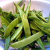 50 ROMA Italian GREEN BEAN Phaseolus Vulgaris Vegetable Seeds