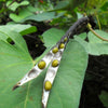 150 MUNG BEAN Moong Sprouts Golden Gram Green Vigna Radiata Vegetable Seeds