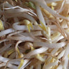 150 MUNG BEAN Moong Sprouts Golden Gram Green Vigna Radiata Vegetable Seeds
