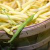 25 GOLDRUSH GREEN BEAN Bright Yellow Wax Bean Phaseolus Vulgaris Vegetable Seeds