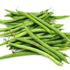 50 BURPEE STRINGLESS Green Pod BEAN French Phaseolus Vulgaris Vegetable Seeds