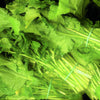 1000 HANOVER SALAD Spring KALE Smooth Siberian Brassica Napus Vegetable Seeds
