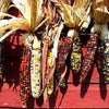 50 Indian MINI MIX CORN Miniature 4" Ears Ornamental Zea Mays Vegetable Seeds