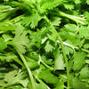 1000 TENDERCRISP CELERY Stalks & Leaves Apium Graveolens Vegetable Seeds