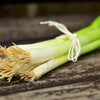 300 Evergreen NEBUKA BUNCHING ONION Japanese Allium Fistulosum Vegetable Seeds