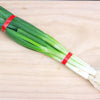 300 Evergreen NEBUKA BUNCHING ONION Japanese Allium Fistulosum Vegetable Seeds