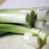 300 Evergreen NEBUKA BUNCHING ONION Japanese Allium Fistulosum Vegetable Seeds