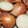 400 Texas EARLY GRANO ONION Large Sweet Yellow Allium Cepa Vegetable Seeds