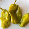 50 GREEK GOLDEN PEPPER Pepperoncini Gold Yellow Capsicum Annuum Vegetable Seeds