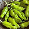 50 GREEK GOLDEN PEPPER Pepperoncini Gold Yellow Capsicum Annuum Vegetable Seeds