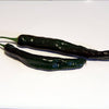 50 PASILLA BAJIO PEPPER Mexican Chile Negro Capsicum Annuum Vegetable Seeds