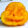 40 Yellow SCOTCH BONNET PEPPER very hot Jamaican Capsicum Chinense Vegetable Seeds