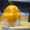 40 Yellow SCOTCH BONNET PEPPER very hot Jamaican Capsicum Chinense Vegetable Seeds