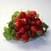 500 CHAMPION RADISH Sweet Scarlet Red Raphanus Sativus Root Vegetable Seeds