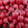 500 CHAMPION RADISH Sweet Scarlet Red Raphanus Sativus Root Vegetable Seeds