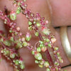 100 SHEEP SORREL Rumex Acetosella Red Field Sorrel Sour Weed Herb Flower Seeds