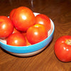 200 Red RUTGERS TOMATO Lycopersicon Globe Determinate 8 oz Fruit Vegetable Seeds