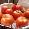 200 Red RUTGERS TOMATO Lycopersicon Globe Determinate 8 oz Fruit Vegetable Seeds