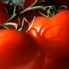 200 Red RUTGERS TOMATO Lycopersicon Globe Determinate 8 oz Fruit Vegetable Seeds