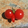 200 Red RUTGERS TOMATO Lycopersicon Globe Determinate 8 oz Fruit Vegetable Seeds